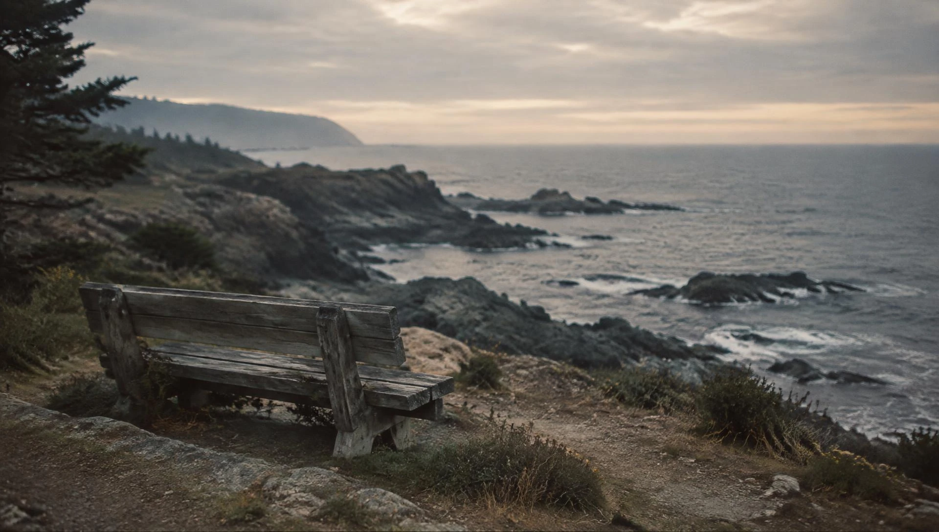An empty wooden bench on a grassy coastal bluff overlooking the ocean in soft evening light